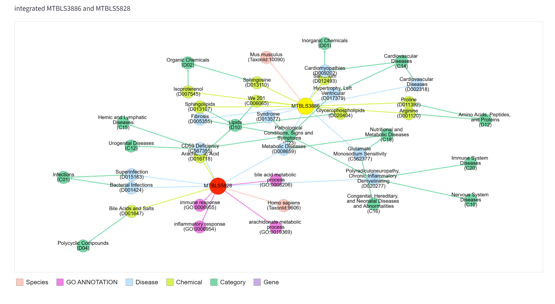 Metadata_Network